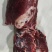 陕西秦川黄牛肉，全牛分割