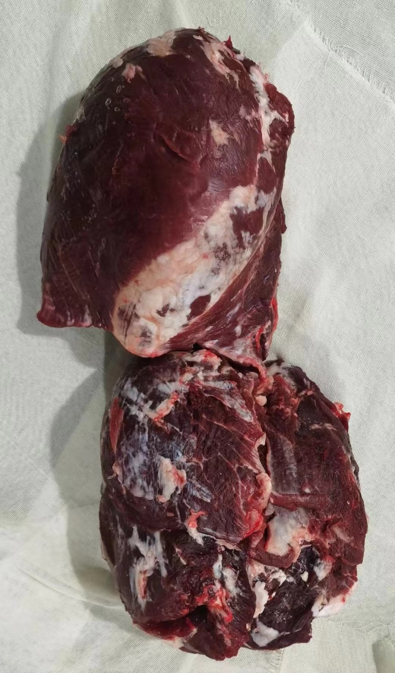 陕西秦川黄牛肉，全牛分割