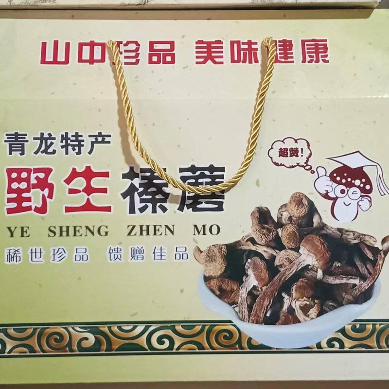 青龙特产，野生榛蘑大量供应产地直发量大从优欢迎来电