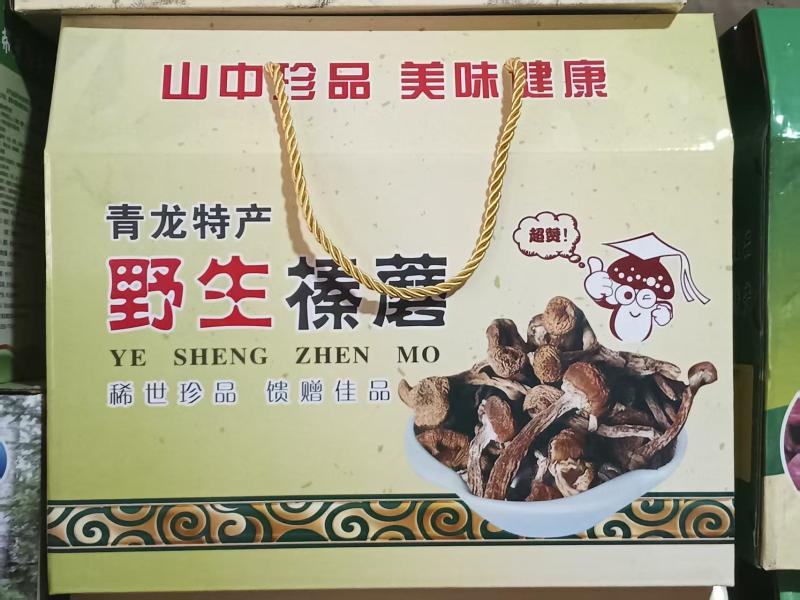 青龙特产，野生榛蘑大量供应产地直发量大从优欢迎来电