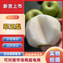精品梨翠玉梨基地直发价格实惠量大从优质量保证