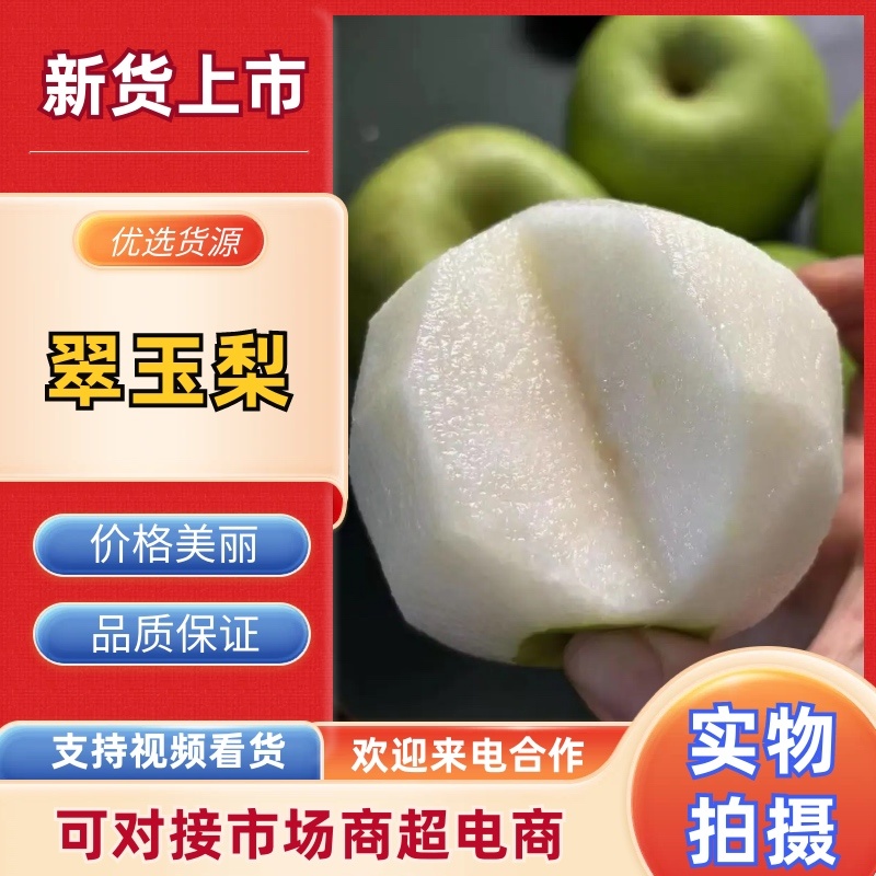 精品梨翠玉梨基地直发价格实惠量大从优质量保证