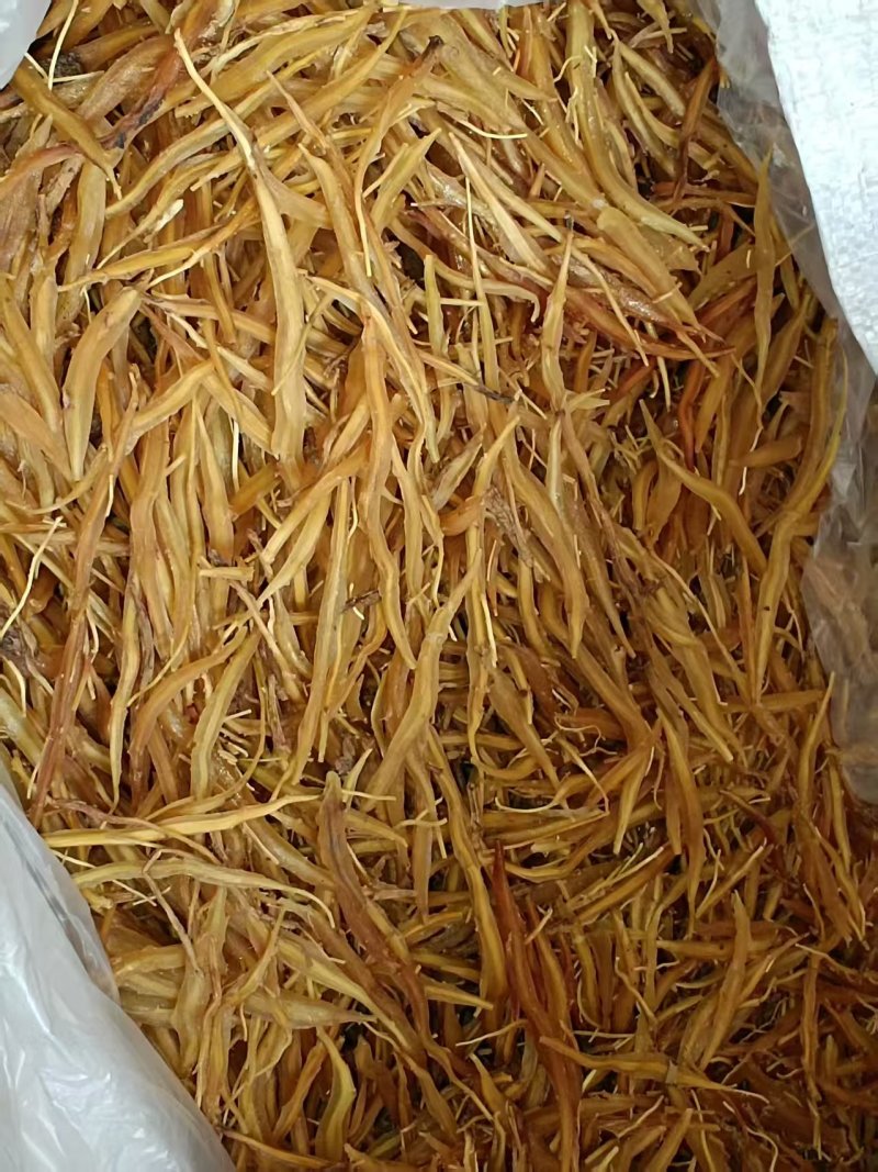 天冬野生中药材现货现摘基地直供可视频看货欢迎咨询