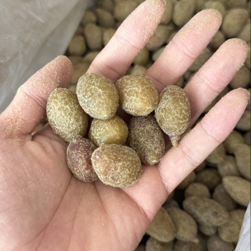 【甘草橄榄】厂家直销批发价量大详谈