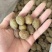 【甘草橄榄】厂家直销批发价量大详谈