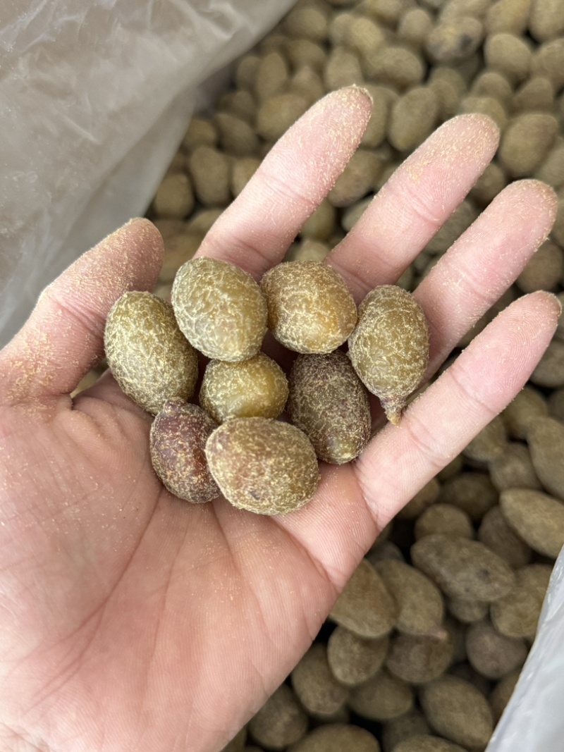 【甘草橄榄】厂家直销批发价量大详谈