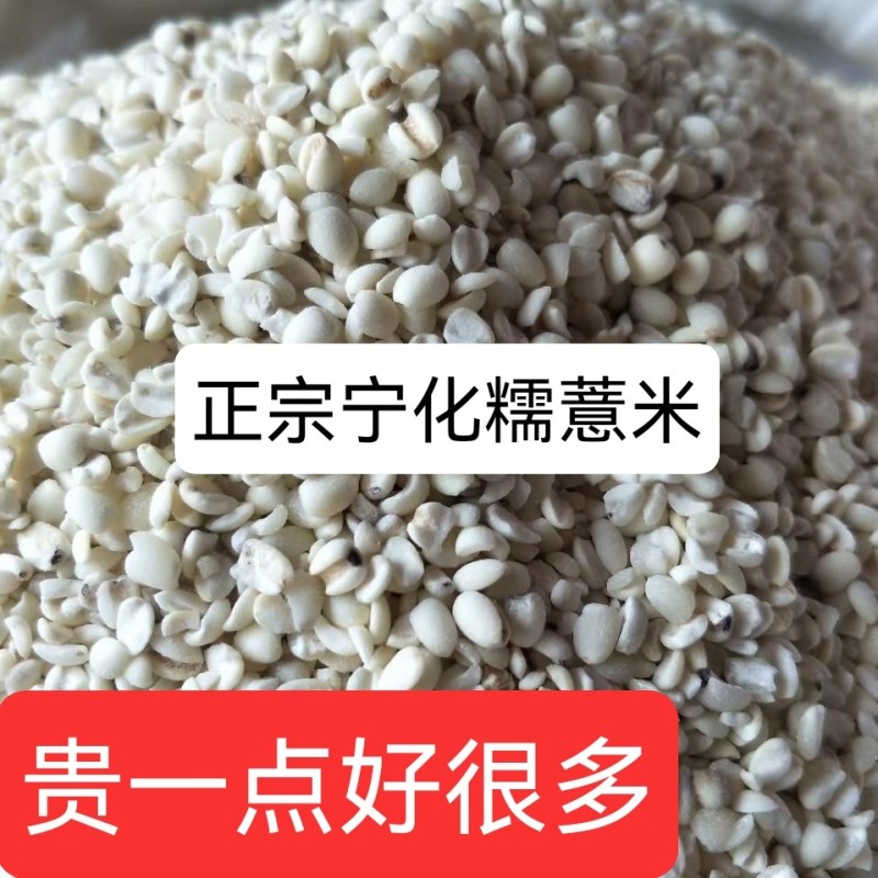 宁化薏米糯薏米批发零售
