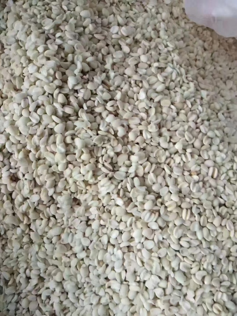 宁化薏米糯薏米批发零售