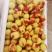 【精品】渭南大荔冬枣大量上市/大荔冬枣/优质鲜枣欢迎选购