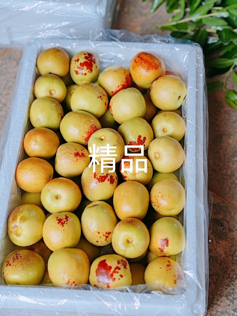 【精品】渭南大荔冬枣大量上市/大荔冬枣/优质鲜枣欢迎选购