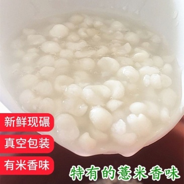 宁化薏米糯薏米批发零售