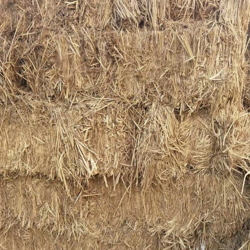 稻草，一次成型大方捆，水份安全，无土无霉变