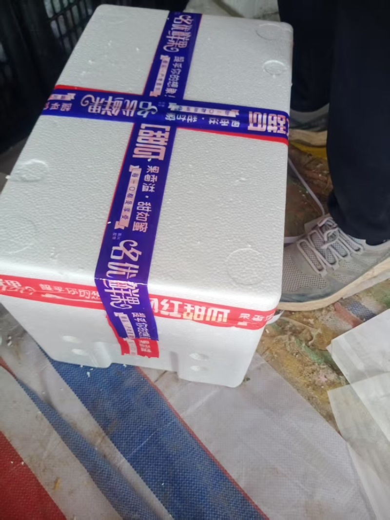 玉菇甜瓜聊城甜瓜甜瓜玉菇脆甜可口可对接电商