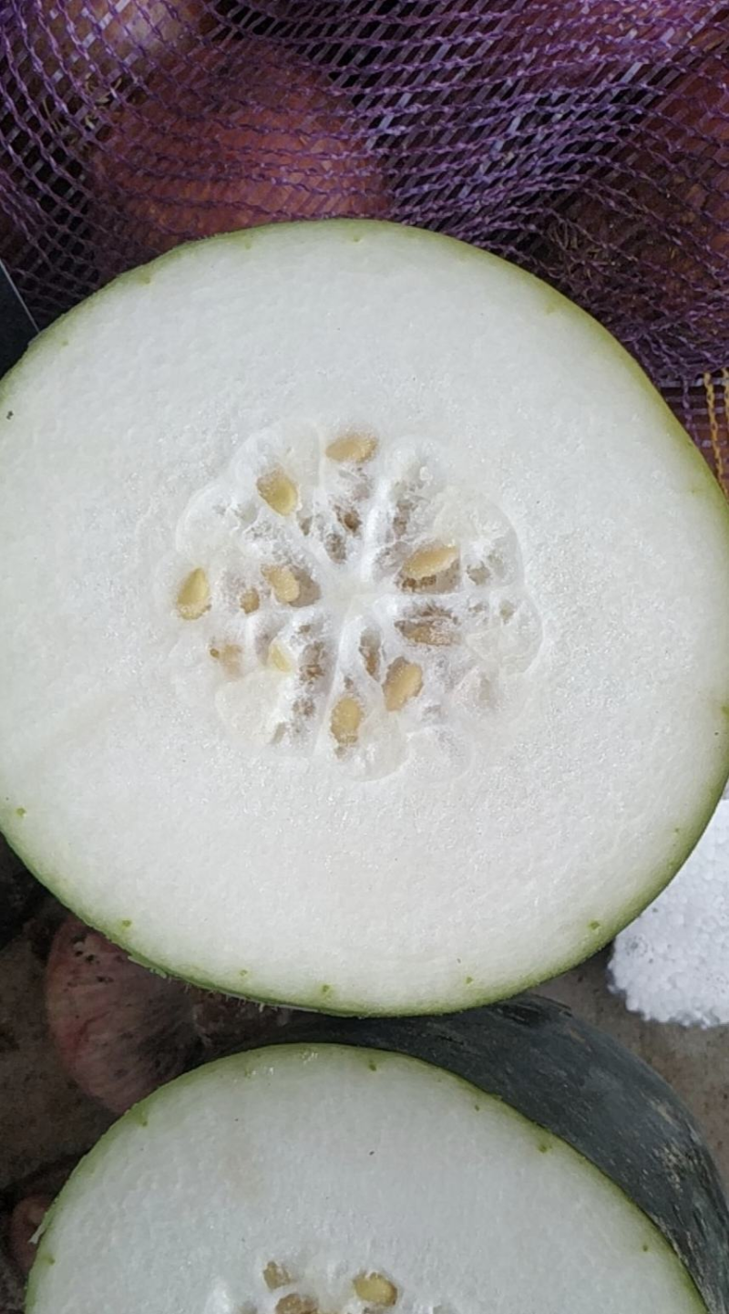 黑皮冬瓜湖北冬瓜产地直发品质保障视频看货选货