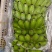 云南河口精品香蕉芭蕉