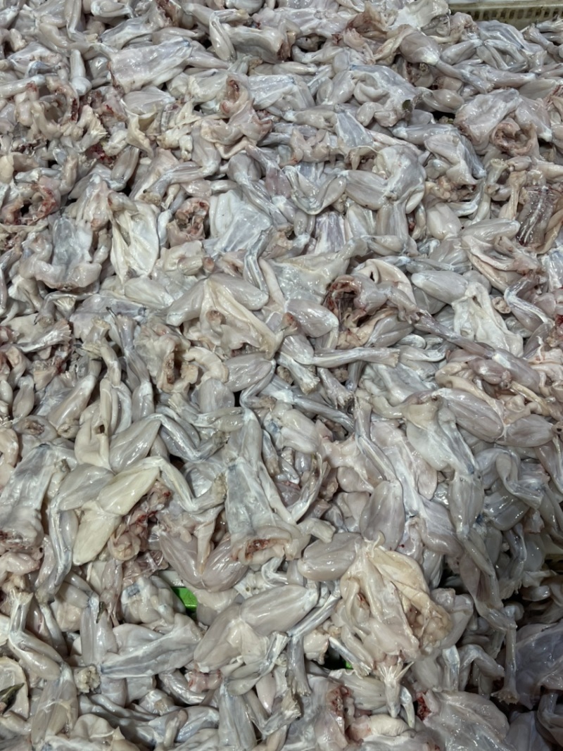牛蛙肉/成蛙肉-订多包送货，正品保障支持拿样