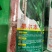 墨尔本墨西科墨地趴精品菠菜种子夏秋冬种植