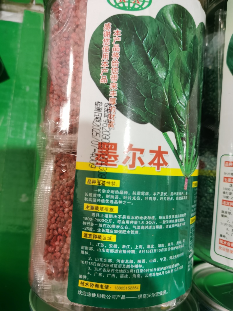 墨尔本墨西科墨地趴精品菠菜种子夏秋冬种植