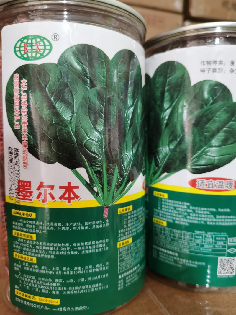 墨尔本墨西科墨地趴精品菠菜种子夏秋冬种植
