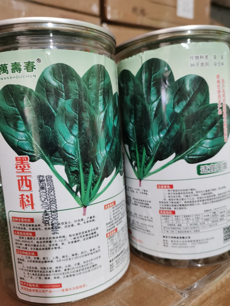 墨尔本墨西科墨地趴精品菠菜种子夏秋冬种植