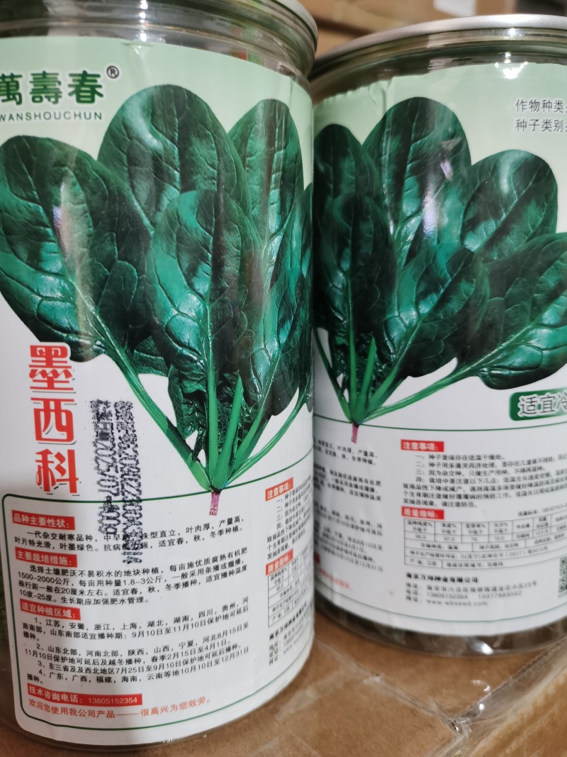 墨尔本墨西科墨地趴精品菠菜种子夏秋冬种植