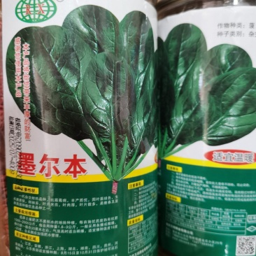 万帮墨地趴地菠菠菜种子特抗病丰产叶厚而墨绿