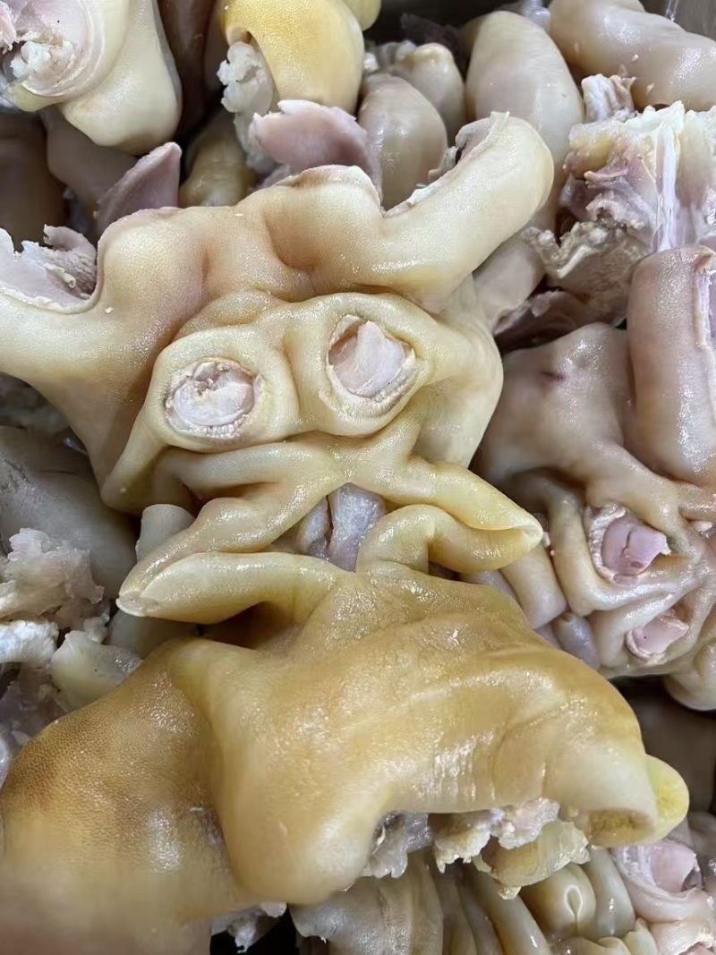 熟牛蹄筋带主筋副筋纯水煮无任何添加剂