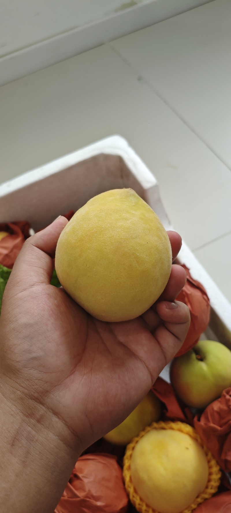 大量黄桃水蜜桃上市，自家果园支持少量拿货