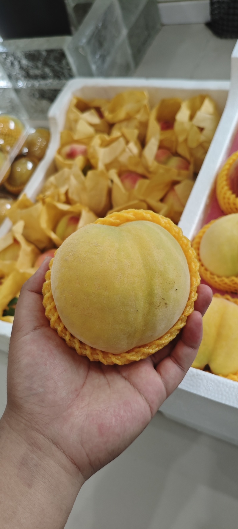 大量黄桃水蜜桃上市，自家果园支持少量拿货