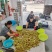 陕西冬枣支持一件代发，社区团购，对接各大水果市场