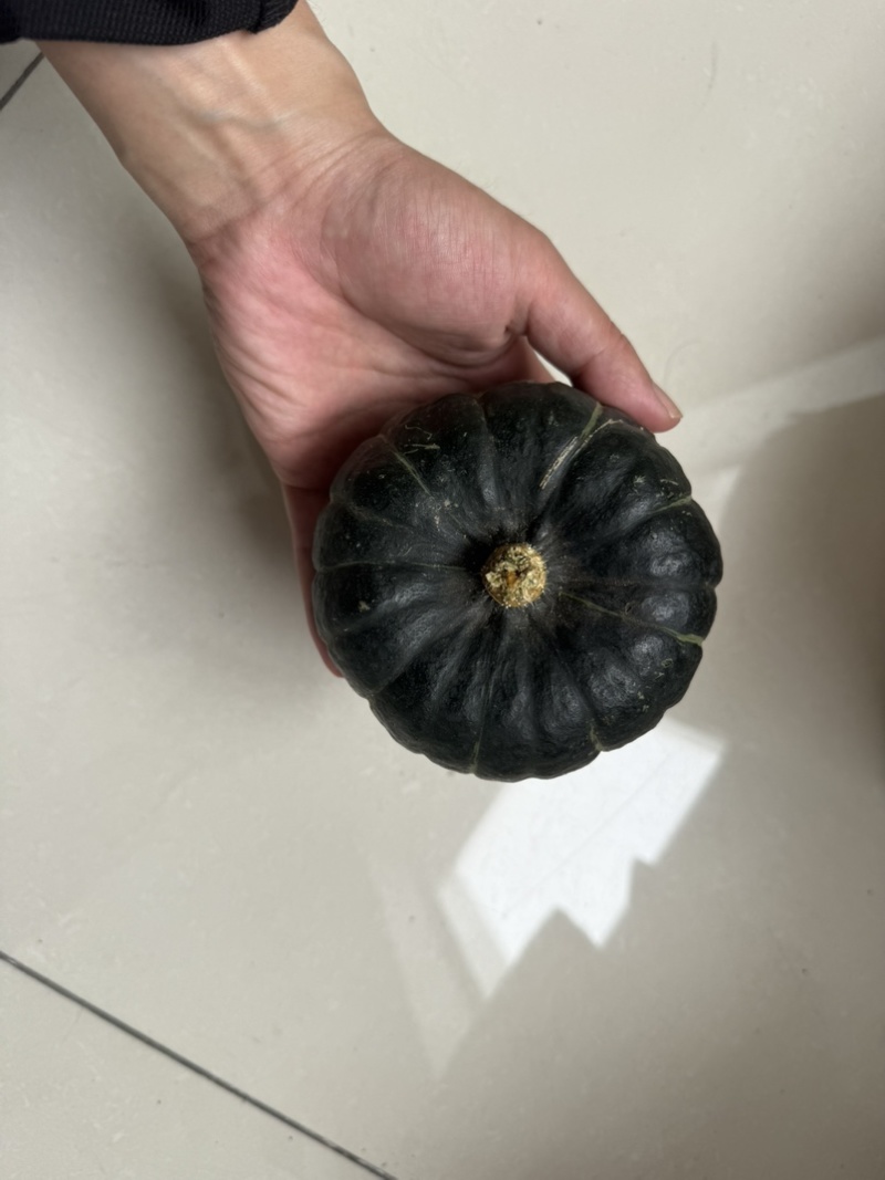 贝贝南瓜，支持一件代发