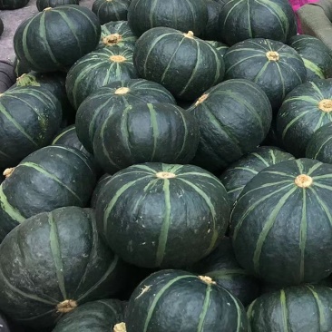 正宗贝贝南瓜板栗味批发当季采摘新鲜蔬菜