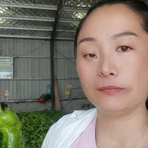 山东费县鲜辣椒，芜湖椒，资源充足，电商市超市大量供应