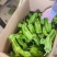 山东费县鲜辣椒，芜湖椒，资源充足，电商市超市大量供应