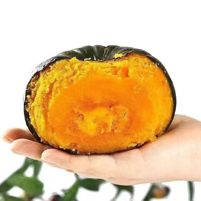 正宗贝贝南瓜板栗味批发当季采摘新鲜蔬菜