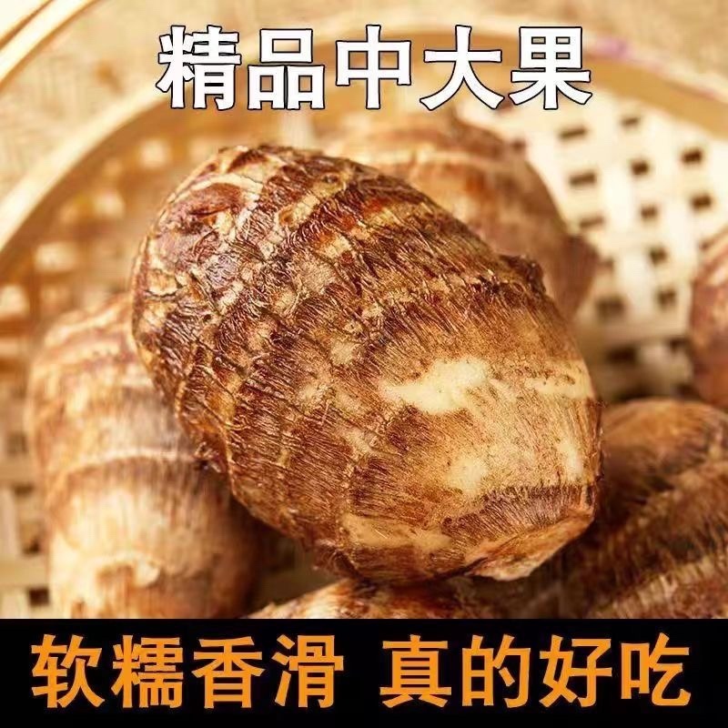 山东当地现挖现发牛奶芋头香糯爽口特色脱皮芋头批发