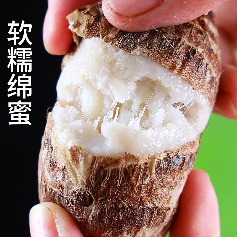 山东当地现挖现发牛奶芋头香糯爽口特色脱皮芋头批发