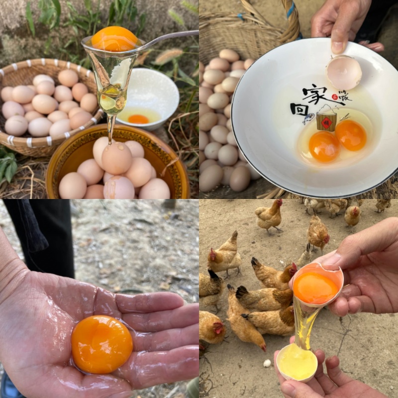 新鲜土鸡蛋散养鸡蛋孕妈滋补老人小孩营养蛋兵哥鸡蛋，包邮