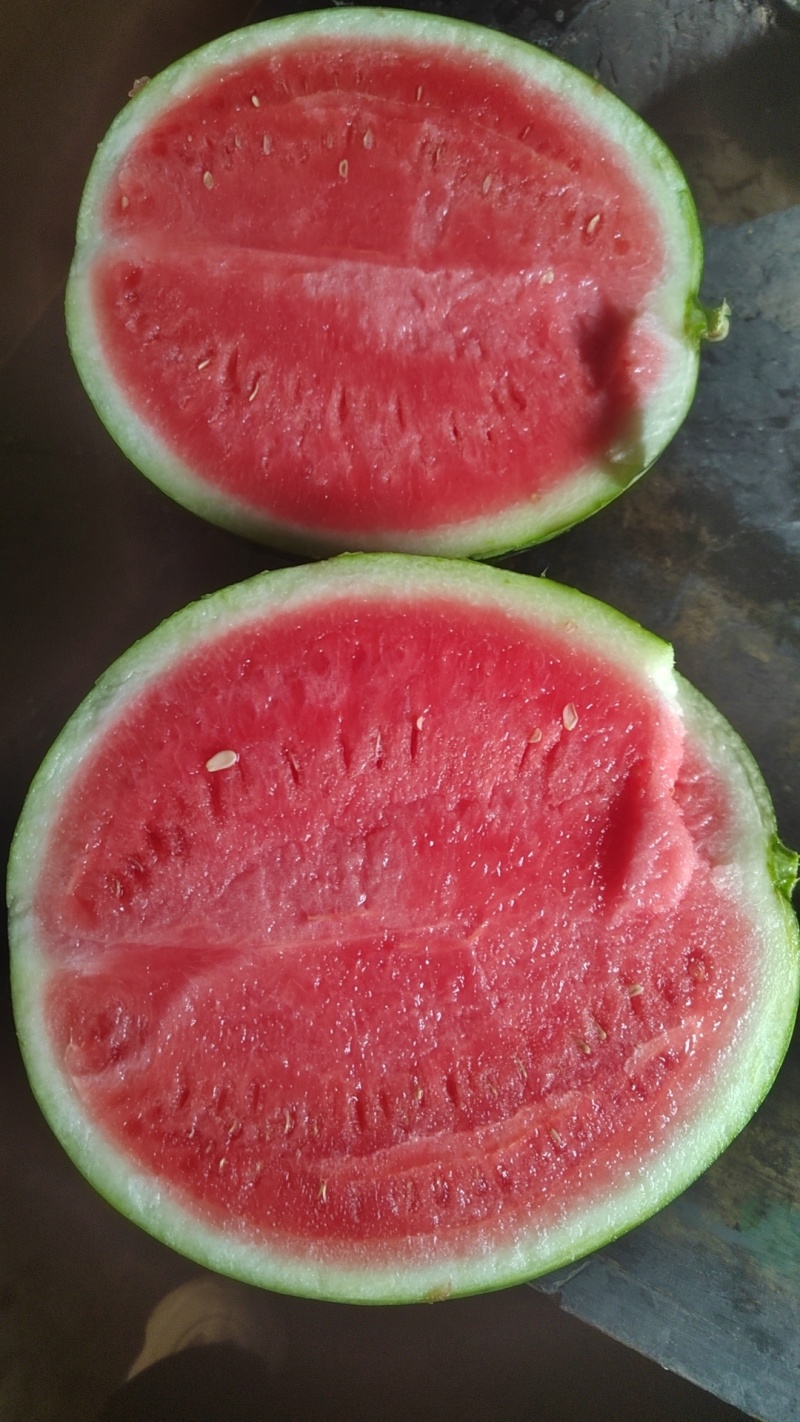 美都甜蜜蜜西瓜