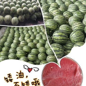 美都甜蜜蜜西瓜