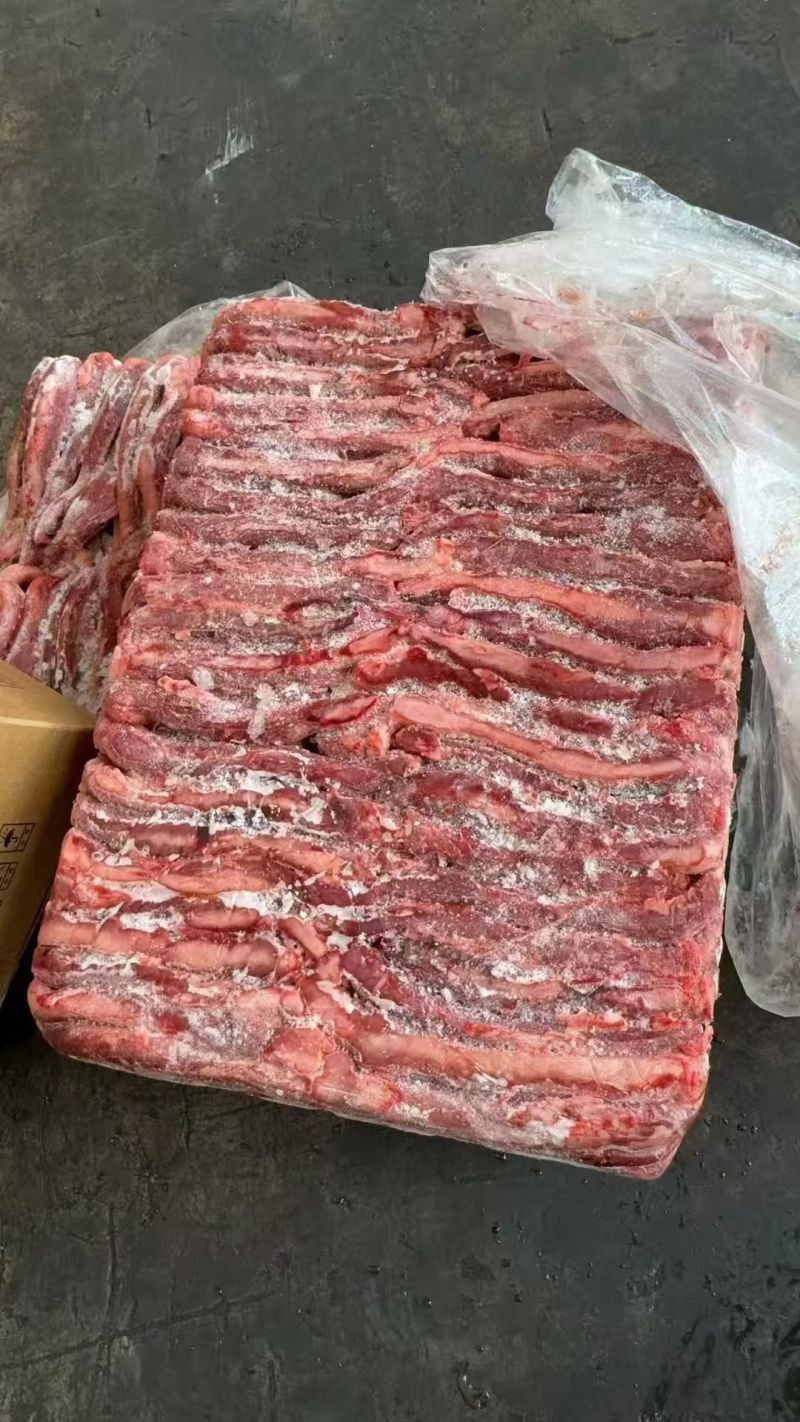 肥猪尿管