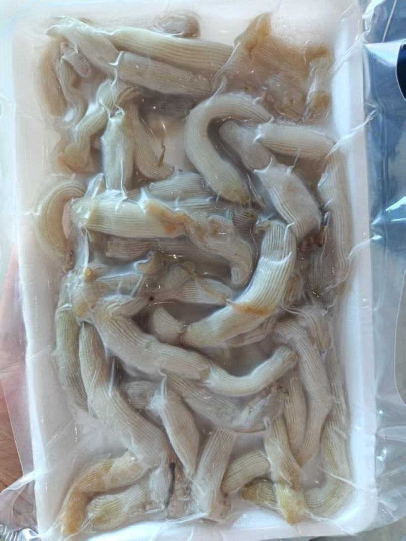 厂家直销，精品沙虫