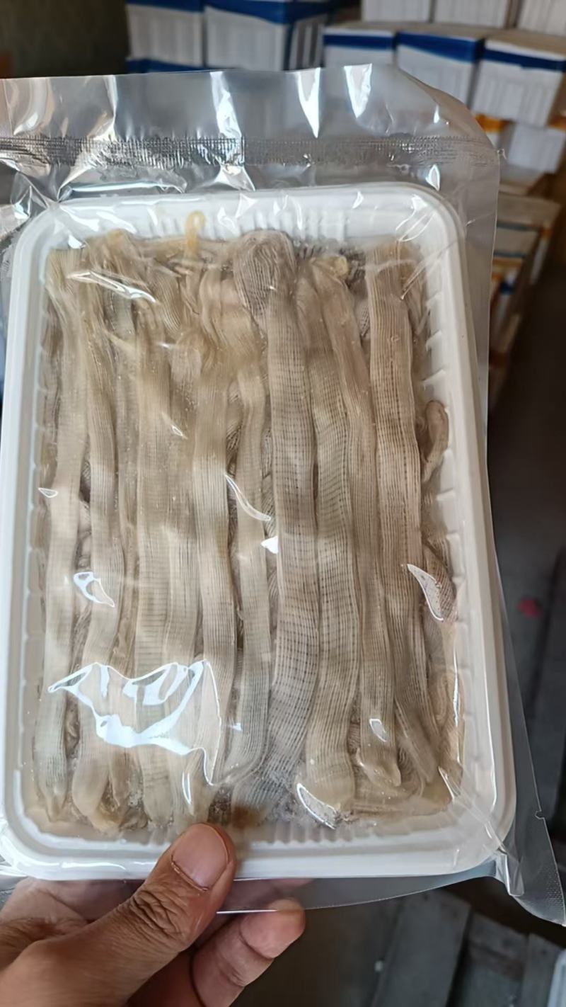 厂家直销，精品沙虫