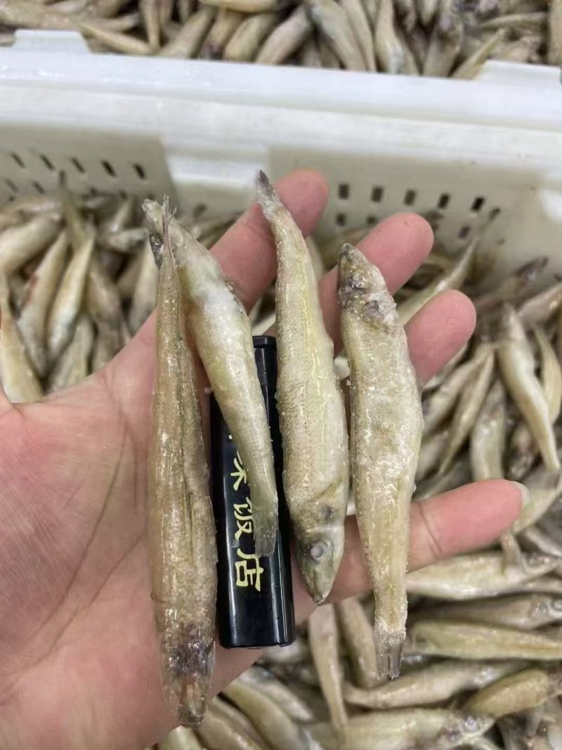 厂家直销，高品质沙丁鱼