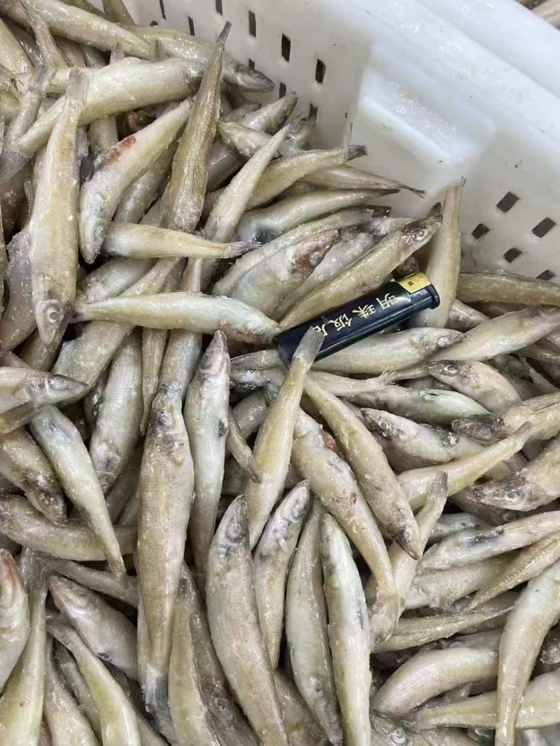 厂家直销，高品质沙丁鱼