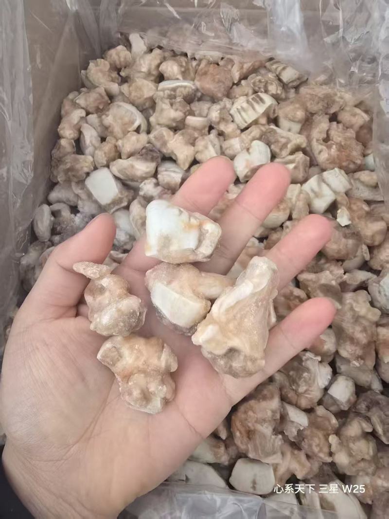 盐磨海葵颗粒，精品货
