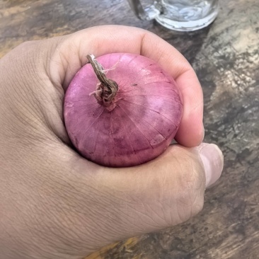 小乡村朱葱毛葱现货供应