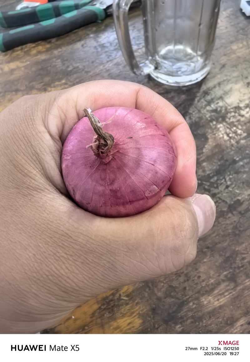 小乡村朱葱毛葱现货供应