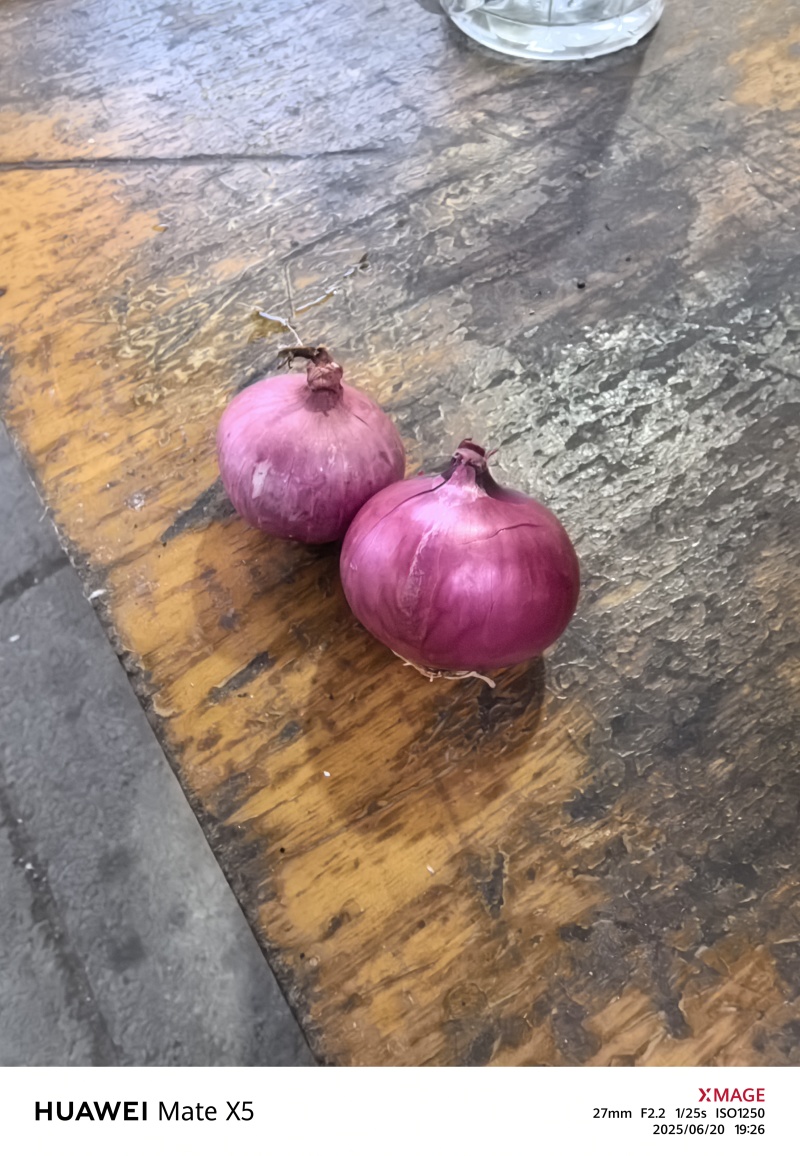 小乡村朱葱毛葱现货供应