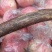 陕西渭南毛桃脆甜可口多汁。耐运输。欢迎老板们进店选购。